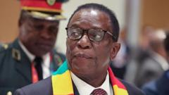 Plan to scrap presidential elections puts Zimbabweans at loggerheads