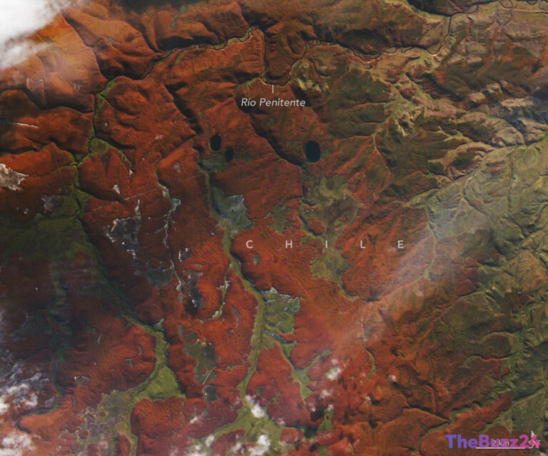 Fiery Fall Color in Southern Chile
