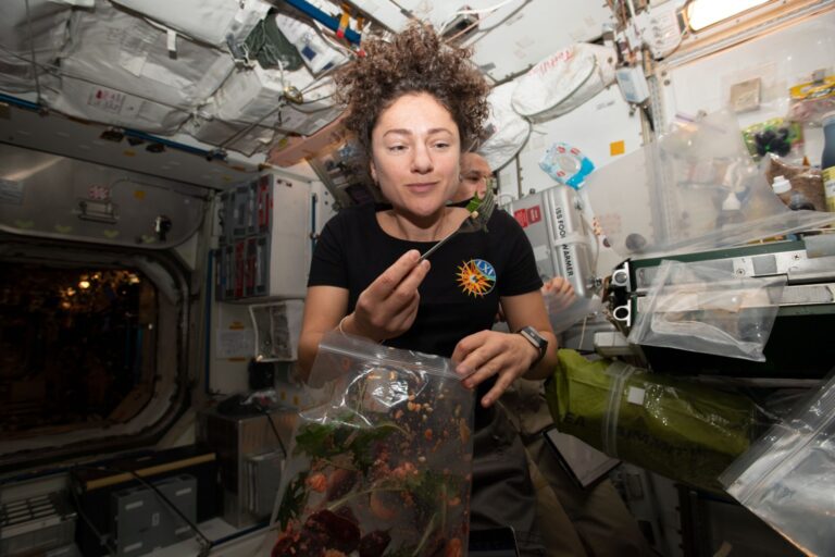 Nutrition Research Arrives Aboard Space Station
