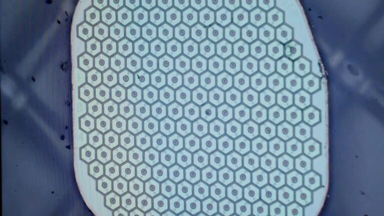 Max Hodak’s Science Corp. is preparing to place its first sensor in a human brain