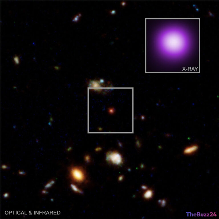 Astronomers Identify Evolutionary ‘Missing Link’ for Early Universe Black Holes