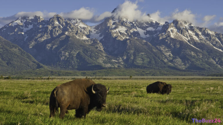 Legislative Clash Over National Park Funding Ahead of U.S. 250th Anniversary