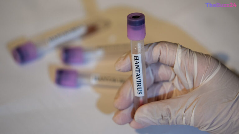 Hantavirus Watch: U.S. Monitors Dozens Following International Outbreak