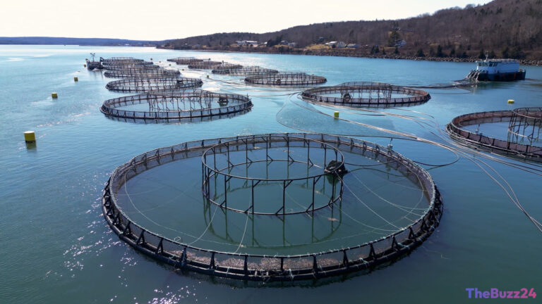 The HALO Trade: Why Wealthy Investors Are Shunning AI for Heavy Assets and Fisheries