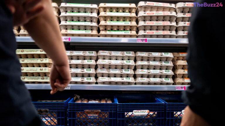 Egg Market Faces Price Collapse Amidst Rising Production Costs