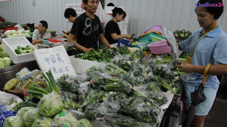 Singapore Economic Resilience Grows as Inflation Slows and GDP Growth Surges