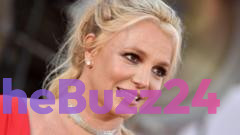 Britney Spears charged in California with driving under influence