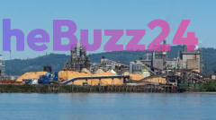 Fatal Chemical Explosion Rocks Washington Paper Mill