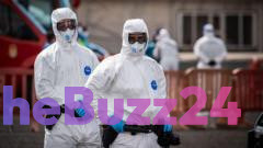 Hantavirus Outbreak on Cruise Ship Triggers International Health Alert