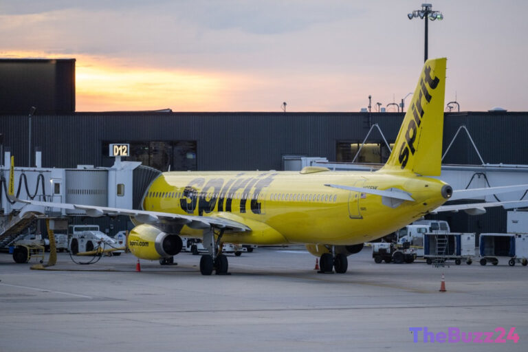 The Crowdsourced Airline: Viral Campaign Attempts to Revive Spirit Airlines