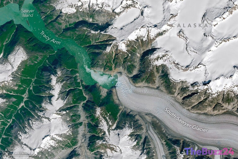 Massive Alaskan Landslide and Tsunami Reshape Tracy Arm Fjord