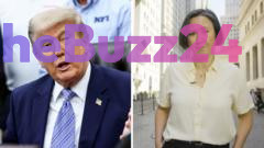 Financial Disclosures Reveal High Volume of Stock Trades Linked to Donald Trump