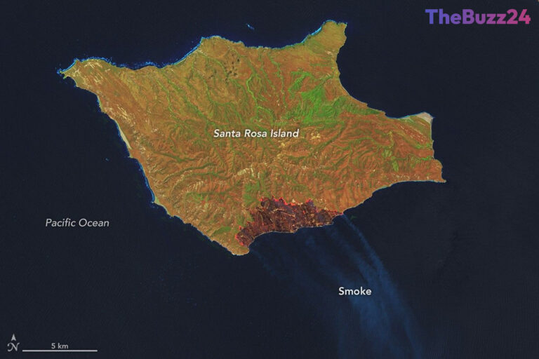Wildfire Scorches Thousands of Acres on Santa Rosa Island