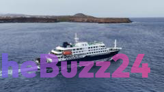 International Health Alert Follows Hantavirus Outbreak on MV Hondius