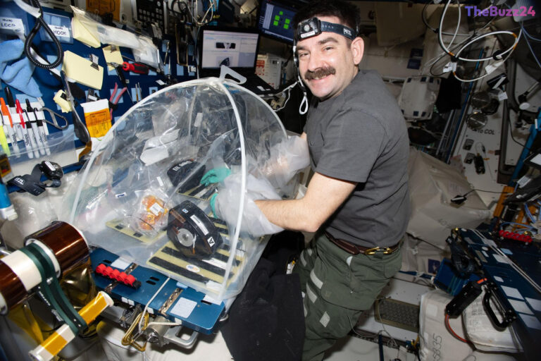 Space-Based Research Targets Heart Damage Caused by Pneumonia