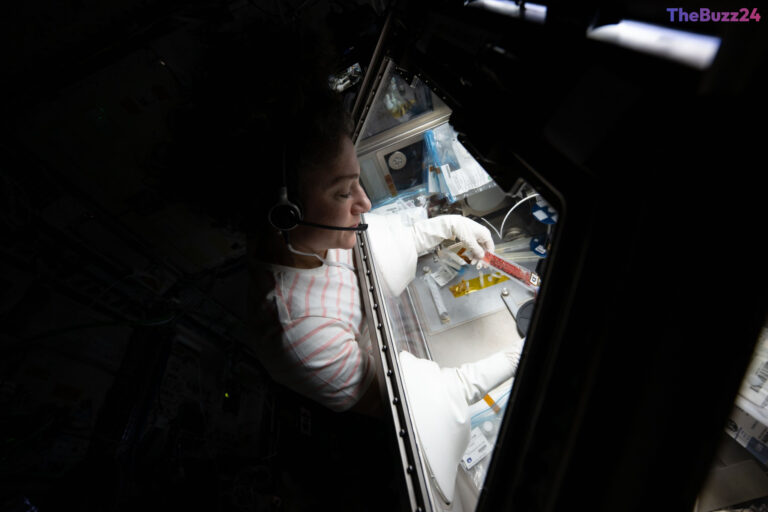 Orbital Biomanufacturing: How Microgravity Could Revolutionize Stem Cell Therapy