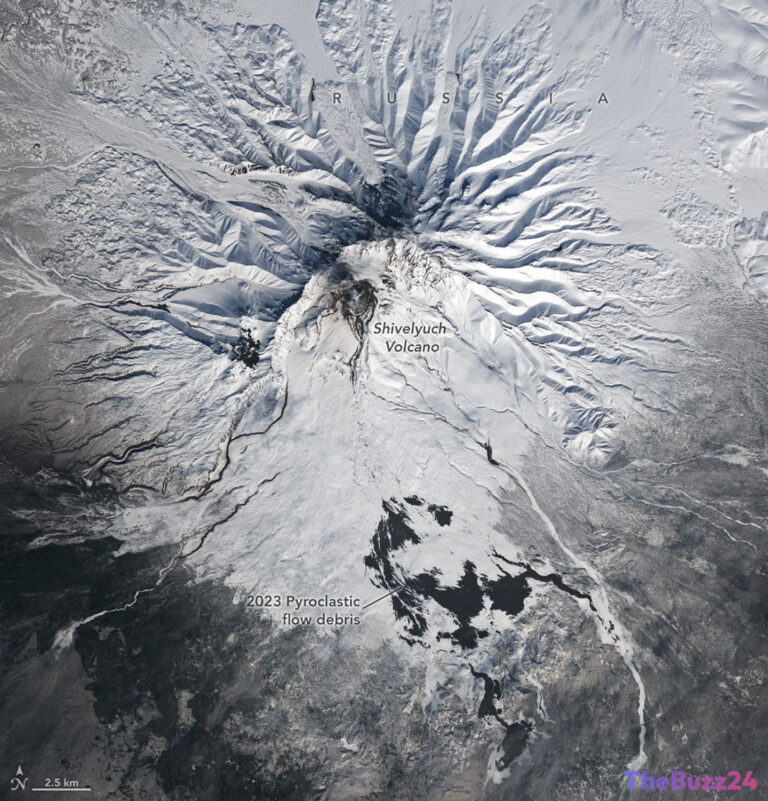 Satellite Imagery Reveals Persistent Volcanic Heat at Kamchatka’s Shivelyuch Volcano