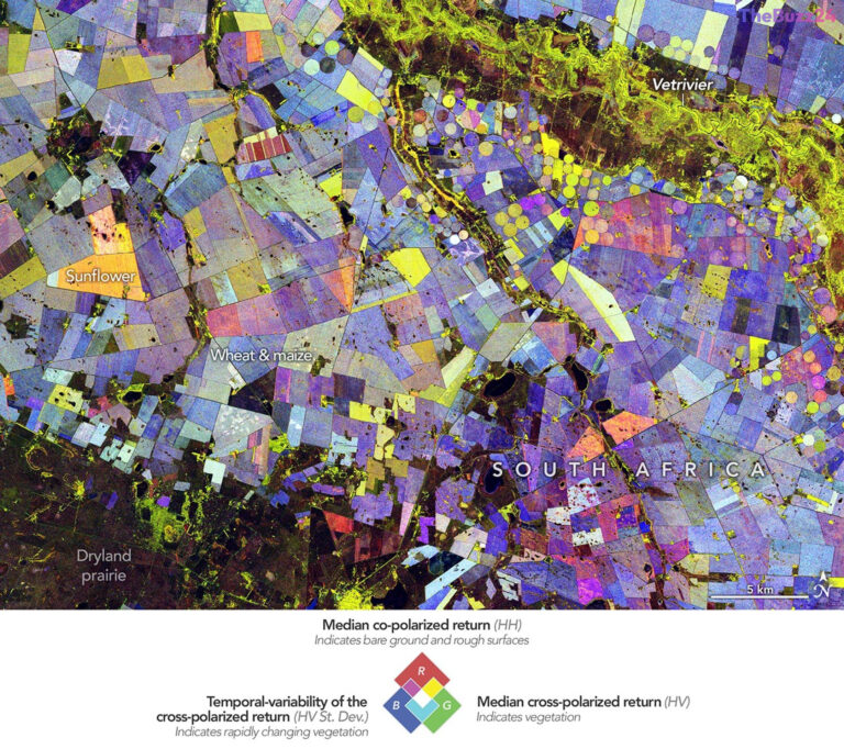 Satellite Radar Breakthrough Revolutionizes Crop Monitoring in South Africa’s Maize Triangle