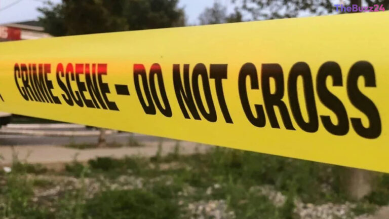 Violence Disrupts Toledo’s Historic Old West End Festival as Gunfire Wounds 12
