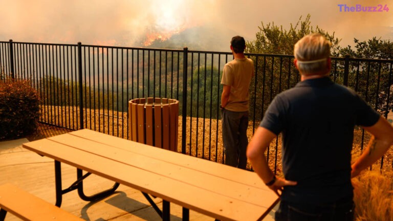 Rising Home Insurance Costs: Practical Strategies to Lower Your Premiums