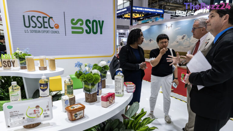 U.S. Farmers Pivot to Quality as They Battle Brazil for Chinese Soybean Dominance