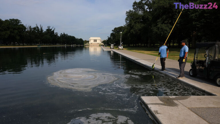 Reflecting Pool Renovation Under Fire: Senate Democrats Probe $16 Million Project Failures