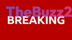 Johannesburg Shooting: 12 Dead, 9 Injured in Attack on Informal Settlement