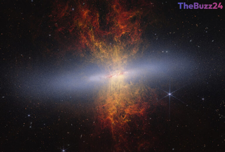 Webb Telescope Unveils Hidden Stellar Secrets of the Cigar Galaxy