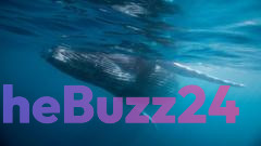 Deep-Sea Necropolis: Five-Million-Year-Old Whale Graveyard Discovered in the Indian Ocean