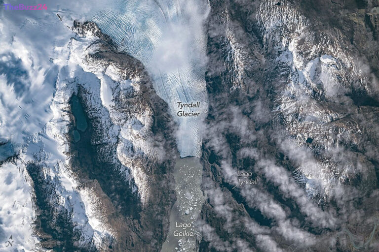Tyndall Glacier Sheds Icebergs as Climate Shifts Impact Patagonian Icefield