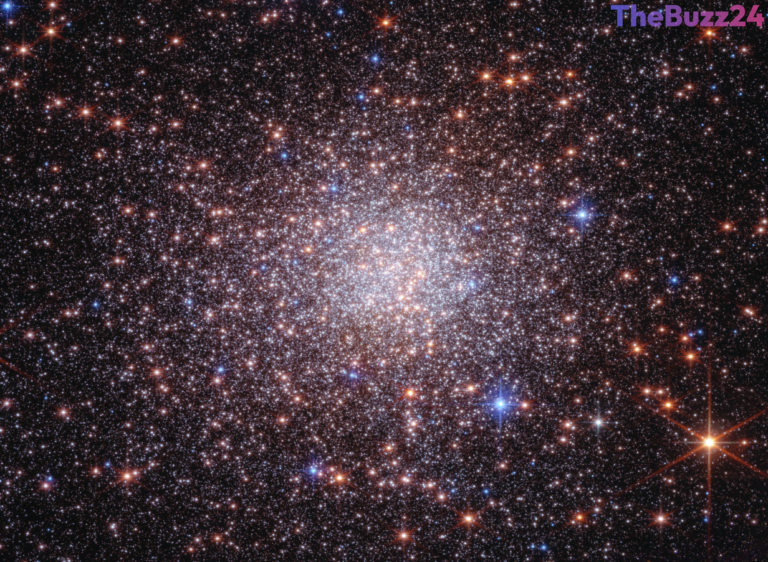 Cosmic Time Capsule: Webb and Hubble Unmask the Secret History of Terzan 5