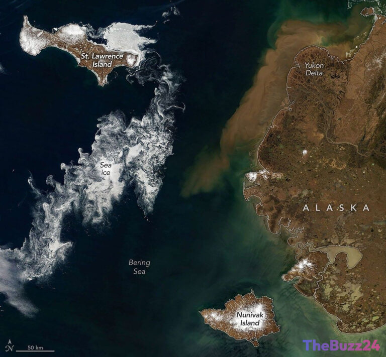 Swirling Ice and Sediment Plumes: Satellite Imagery Captures Dramatic Spring Thaw in the Bering Sea