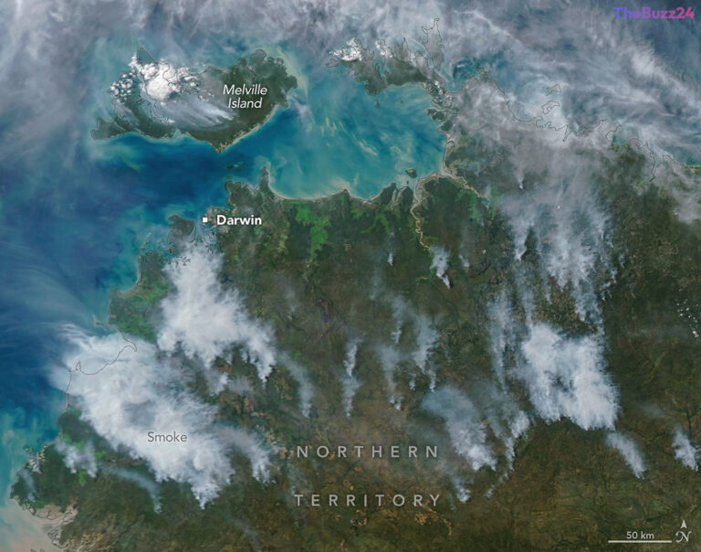 Fighting Fire with Fire: How Australia’s Savanna Prescribed Burns Are Curbing Catastrophic Wildfires