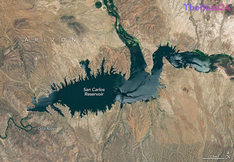 Arizona’s San Carlos Reservoir Faces Near-Total Dry-Up and Ecological Collapse