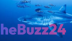 Rare Great White Shark Sighting Ignites Hope for Mediterranean Conservation