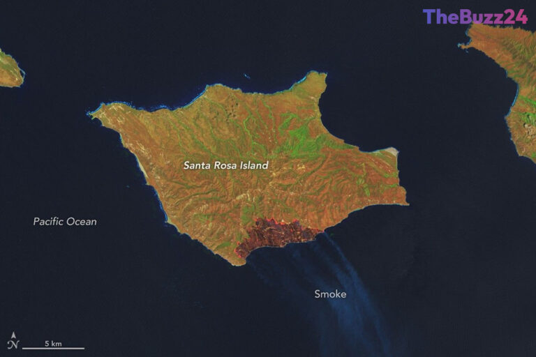 Record-Breaking Wildfire Scorches Santa Rosa Island