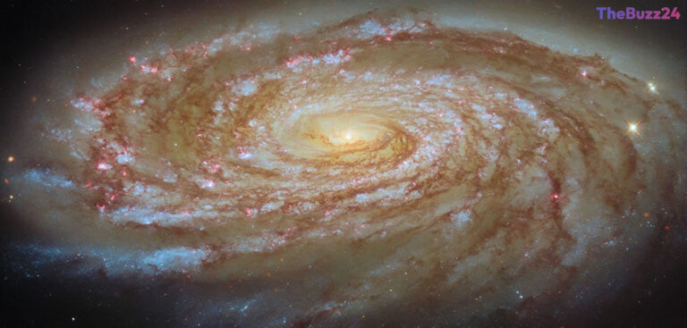 Deep Space Snapshot: Hubble Captures the Active Spiral Galaxy Messier 88