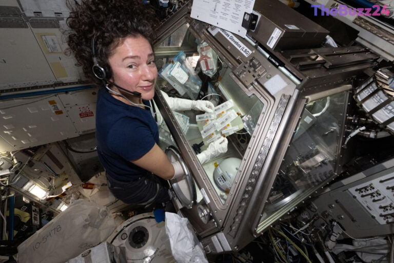 SpaceX Dragon Returns to Earth Carrying Breakthrough Medical and Tech Research