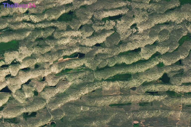 NASA’s Monthly Satellite Image Challenge: Can You Identify This Earthly Enigma?