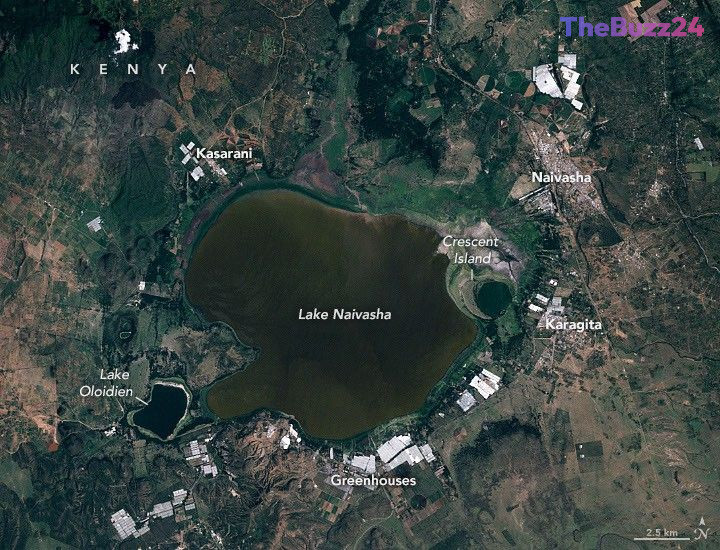Kenya’s Lake Naivasha Faces Existential Crisis as Water Levels Surge