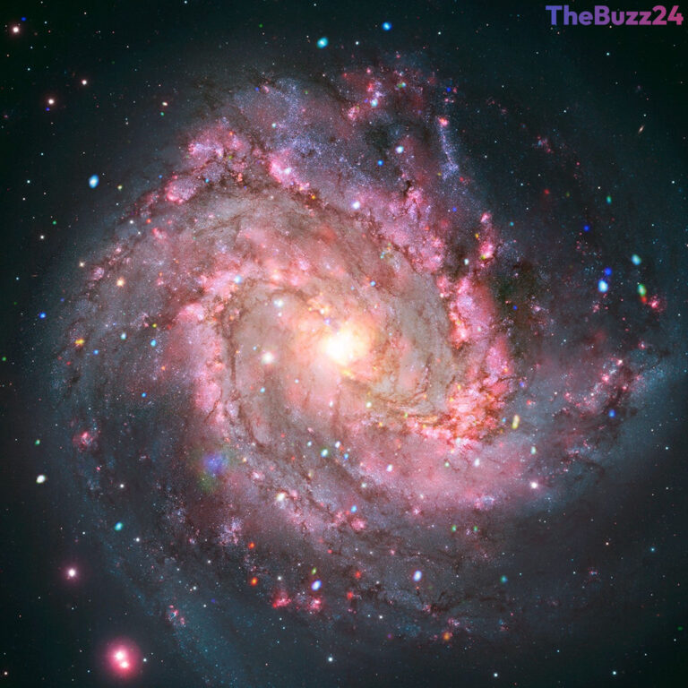 Stellar Survivors: Unexpected X-Ray Activity Found in Supernova Remnants