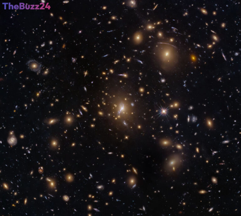 Hubble Captures Cosmic Swarm: Galaxy Cluster MACS0329-0211 Revealed