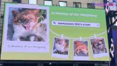 Global Outcry: Chinese Animal Advocates Take Fight Against Cruelty Beyond Borders
