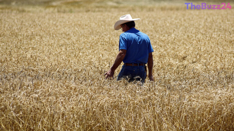 Climate Volatility: Why Commodity Markets Are Bracing for a Weather-Driven Shock