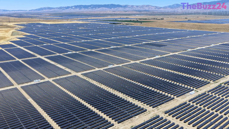 Navigating the Energy Transition: Solar Opportunities and Nuclear Realities