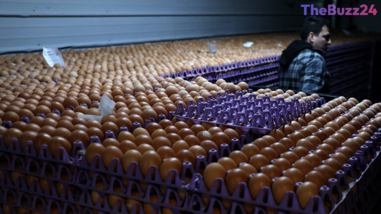 Major Egg Producers Reach Multi-Million Dollar Settlement Over Price-Fixing Allegations