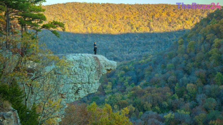 Arkansas Emerges as Top Destination for Relocating Professionals