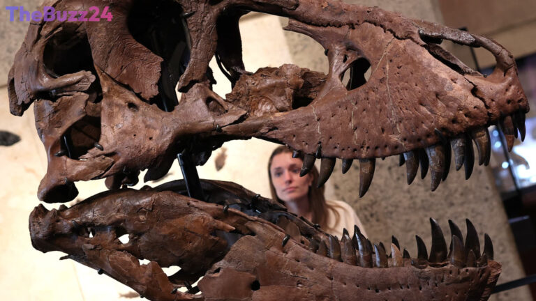 Tech Boom Fuels Record-Breaking Auction Sales for Art, Fossils, and Luxury Goods
