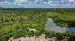 Brazil’s Amazon Records Historic Drop in Wildfire Damage Throughout 2025