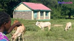 The Silent Classrooms: Why Rural Kenya is Facing a Mass School Closure Crisis